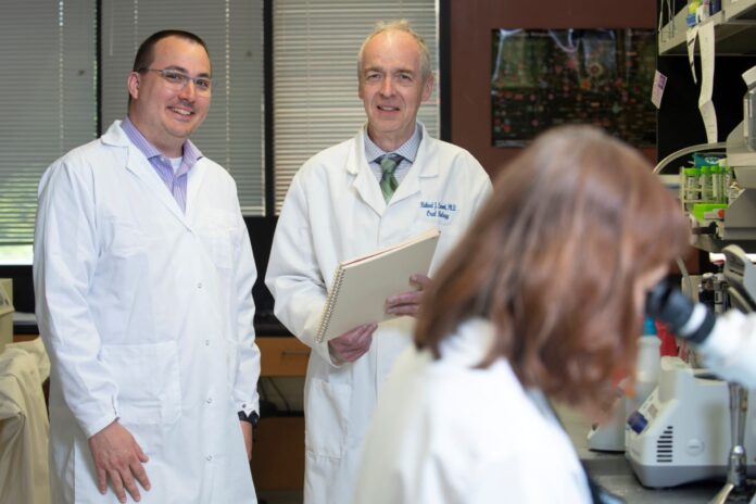Research by Kevin Sokoloski, left, was funded through the UofL Center of Biomedical Research Excellence in Functional Microbiomics, Inflammation and Pathogenicity. Richard Lamont, center, leads the project, which has received an additional grant of nearly $12 million.