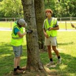 CEEEM interns conduct a tree project