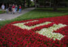 Students walk in the background with flowers in bloom.