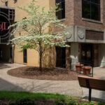 School of Nursing