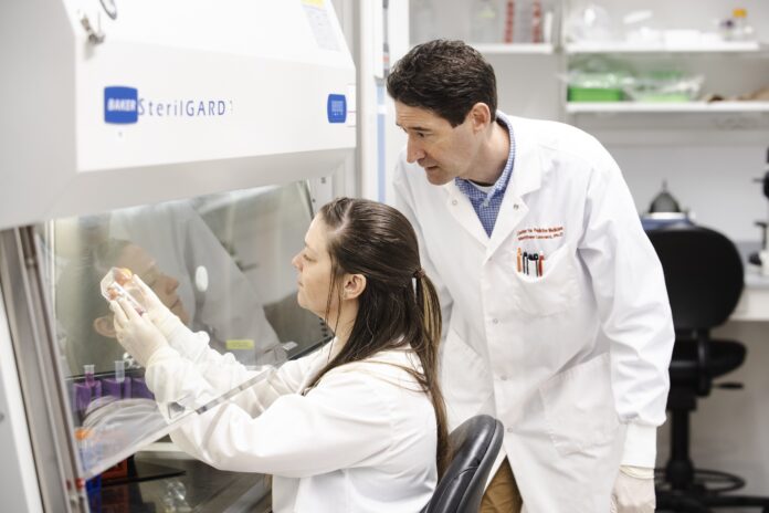 Microbiology and immunology professor Matthew Lawrenz, right, and doctoral student Katelyn Sheneman have received new research funding to better understand how bacteria can outmaneuver the immune system. UofL photo.