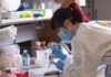 Lab worker testing Louisville wastewater samples at the University of Louisville. UofL photo.