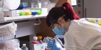 Lab worker testing Louisville wastewater samples at the University of Louisville. UofL photo.