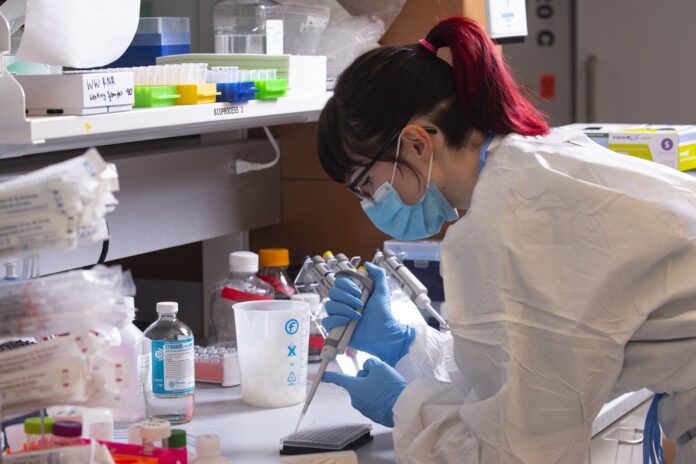 Lab worker testing Louisville wastewater samples at the University of Louisville. UofL photo.