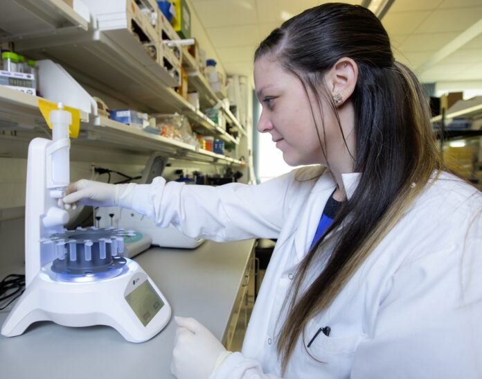 Katelyn Sheneman is a doctoral student in microbiology and immunology at UofL