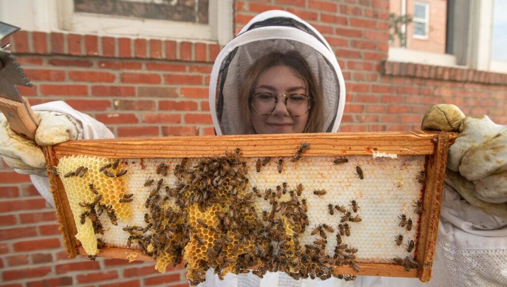 UofL Sustainability's beekeeping intern Shelby Robinson