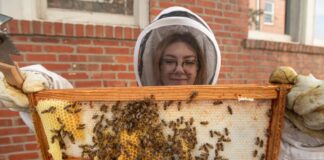 UofL Sustainability's beekeeping intern Shelby Robinson