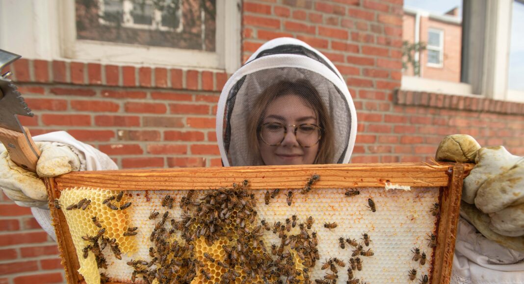 UofL Sustainability's beekeeping intern Shelby Robinson