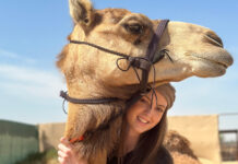 UofL equine business alumna Isabella Leslie: Bluegrass racetracks to Dubai and back Isabella Leslie stands next to a camel in Dubai.