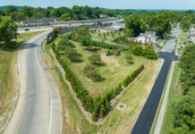 Christina Lee Brown Envirome Institute awarded $11 million in new grants Trees planted along Watterson Expressway/Interstate 264 in Louisville, KY for the Green Heart Louisville Project. Photo by Mike Wilkinson for The Nature Conservancy.