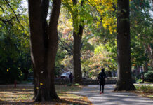 UofL part of Kentucky Garden Trail’s top 12 gardens and arboreta Student walks through campus as leaves fall to the ground.