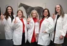 Staff and faculty from the School of Nursing pose in front of a horse statue at the Kentucky Racing Health Services Clinic.