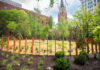 Trees and plants grown at a park in downtown Louisville.