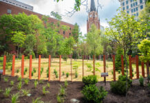 Trees and plants grown at a park in downtown Louisville.