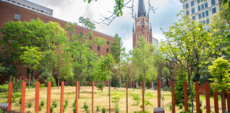 Trees and plants grown at a park in downtown Louisville.