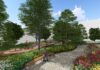 Illustration of walkways and plantings for LOUMED Commons