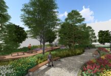 Illustration of walkways and plantings for LOUMED Commons