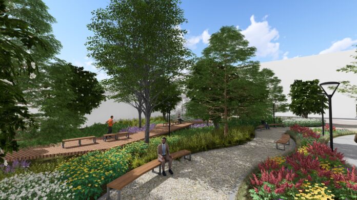 LOUMED Commons Rendering Illustration of walkways and plantings for LOUMED Commons