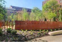 The University of Louisville’s Christina Lee Brown Envirome Institute has completed Phase One of the Trager MicroForest Project, an urban park that also serves as a living laboratory for studying the impact of greenness on human health. The park is now open to the public.