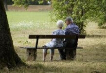 Two older adults sitting on a park bench under a tree