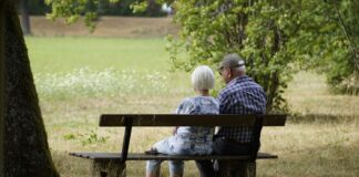 Two older adults sitting on a park bench under a tree