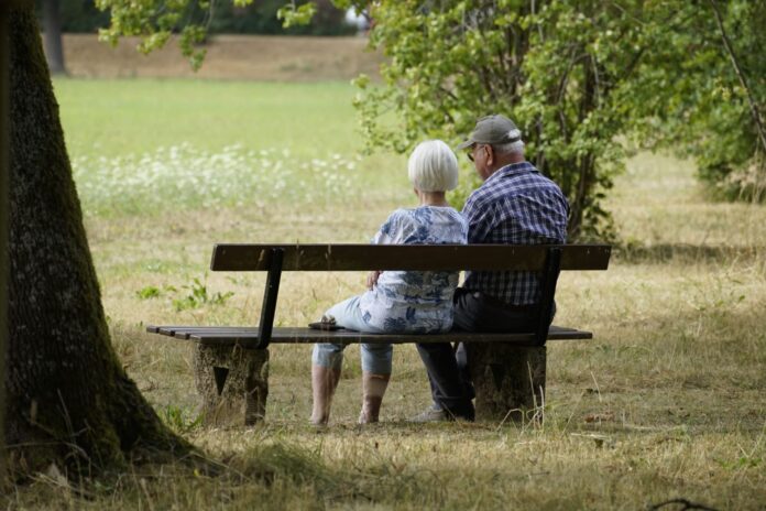 Two older adults sitting on a park bench under a tree