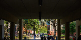 Students walk across campus