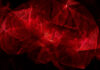 Translucent brain with colorful mapped tumor regions, flowing RNA data streams, holographic genetic information, medical illustration, clean scientific visualization, black background