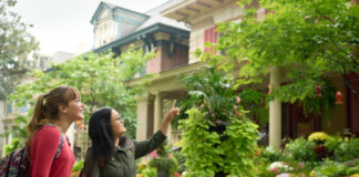Hidden gems around Louisville Students pointing at architecture of homes in Old Louisville.