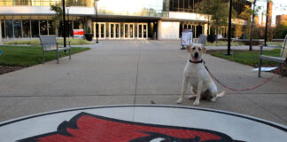 Lily, the ULPD comfort dog sits next to the Cardinal outside of BAB