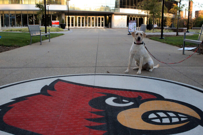 Social_Upload Lily, the ULPD comfort dog sits next to the Cardinal outside of BAB