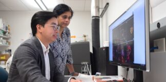 Man and woman at a computer screen