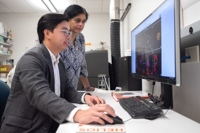 Kavitha Yaddanapudi and Joseph Chen, CCII researchers, with the CyTOF instrument Man and woman at a computer screen