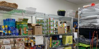 Cards vs. Cats Challenge returns to tackle food insecurity The shelves in the Cardinal Cupboard, a free food pantry on campus for all students, faculty, and staff.