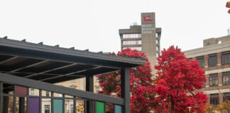 UofL joins LOUMED, partners to open new public green space in the heart of Louisville Pergola with colorful panels, red trees and UofL tower in background.