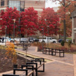 Walkway and benches with fall trees in background.