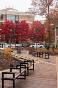 Walkway and benches with fall trees in background. 