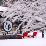 UofL’s 2025 Wrapped The 2020 Pavilion with a blanket of snow.
