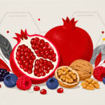 Illustration depicting pomegranates, walnuts and berries and the chemical structure of urolithin A