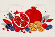 Illustration depicting pomegranates, walnuts and berries and the chemical structure of urolithin A