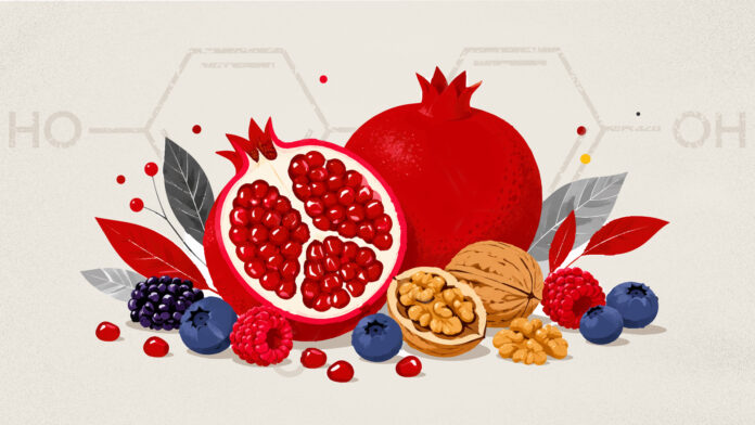 Urolithin A Illustration depicting pomegranates, walnuts and berries and the chemical structure of urolithin A