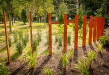 The Trager MicroForest, a research project of UofL's Christina Lee Brown Envirome Institute, is a revamped and upgraded green space in the heart of downtown Louisville. It is an area for scientific inquiry into the impact of intense urban greening.