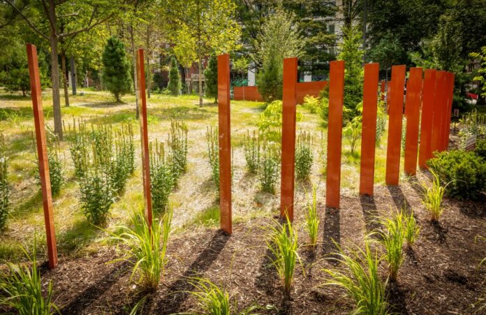 The Trager MicroForest, a research project of UofL's Christina Lee Brown Envirome Institute, is a revamped and upgraded green space in the heart of downtown Louisville. It is an area for scientific inquiry into the impact of intense urban greening.