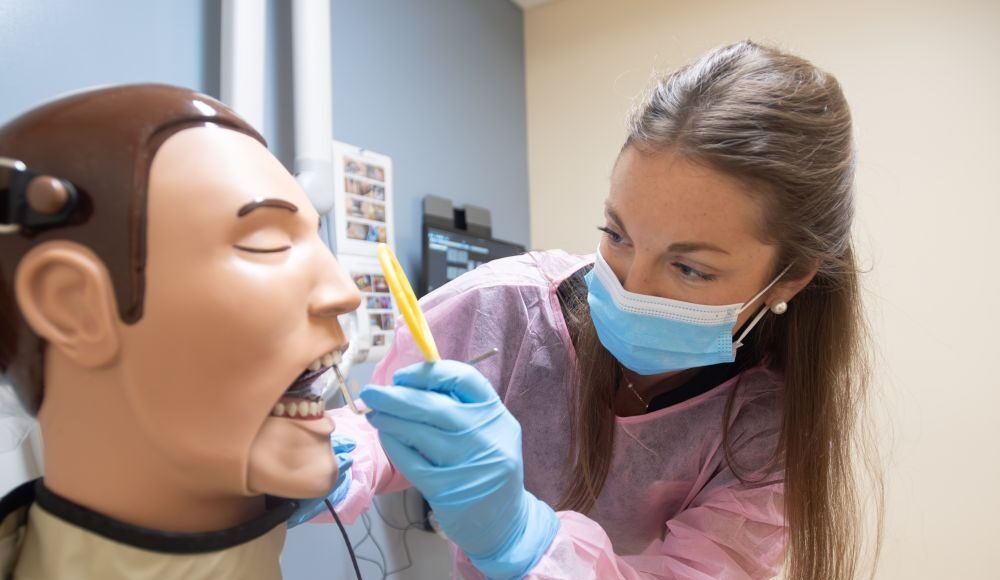 Smart smiles: How UofL is changing dental care with Cardinal Intelligence Dental student Katie Hayden works with a dental manikin.