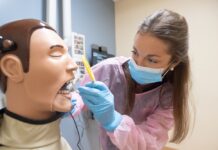 Dental student Katie Hayden works with a dental manikin.