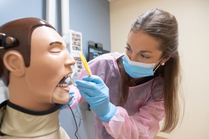 Katie hayden_1554 rev1 Dental student Katie Hayden works with a dental manikin.