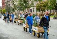 People pull wagons with trees and shrubs on the street.